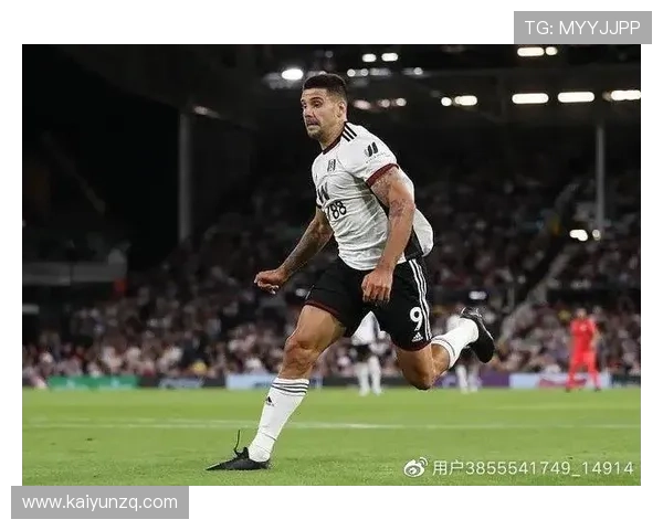 开云足球网页版最新登录入口，享受高清赛事直播体验