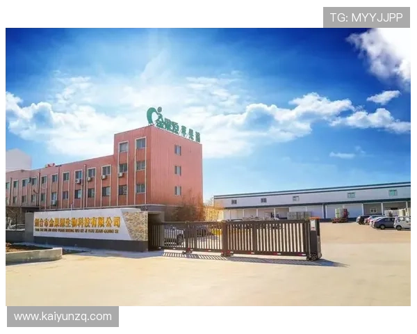 上海开云投资集团有限公司如何通过创新投资策略实现企业持续增长