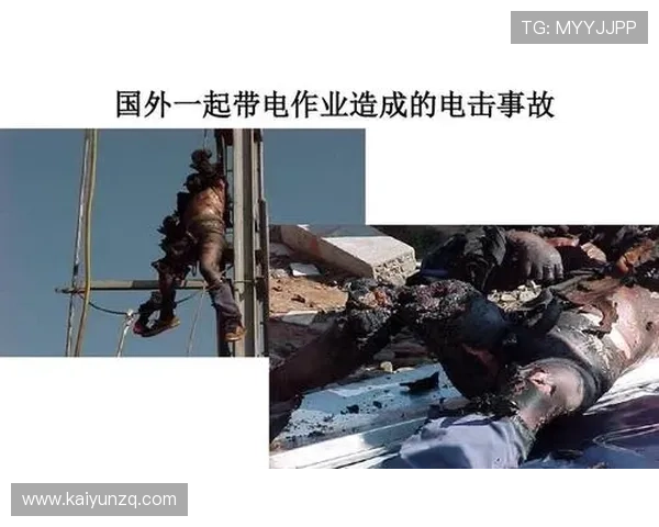 开云在线登录官网安全验证流程详解，保障您的账号信息安全无忧